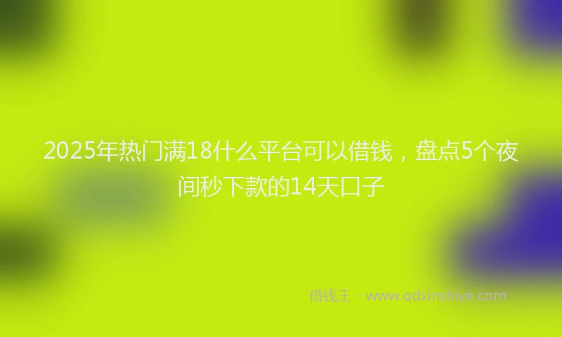 2025年热门满18什么平台可以借钱，盘点5个夜间秒下款的14天口子