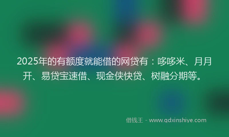 2025年的有额度就能借的网贷有：哆哆米、月月开、易贷宝速借、现金侠快贷、树融分期等。