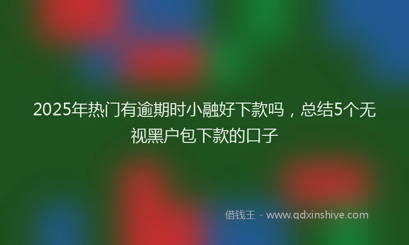 2025年热门有逾期时小融好下款吗，总结5个无视黑户包下款的口子