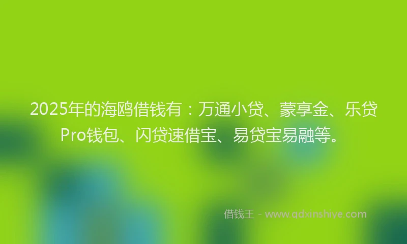 2025年的海鸥借钱有：万通小贷、蒙享金、乐贷Pro钱包、闪贷速借宝、易贷宝易融等。