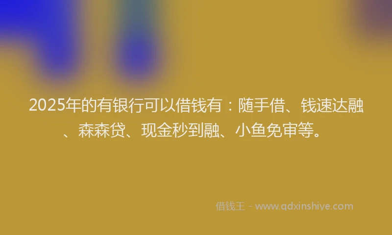 2025年的有银行可以借钱有：随手借、钱速达融、森森贷、现金秒到融、小鱼免审等。