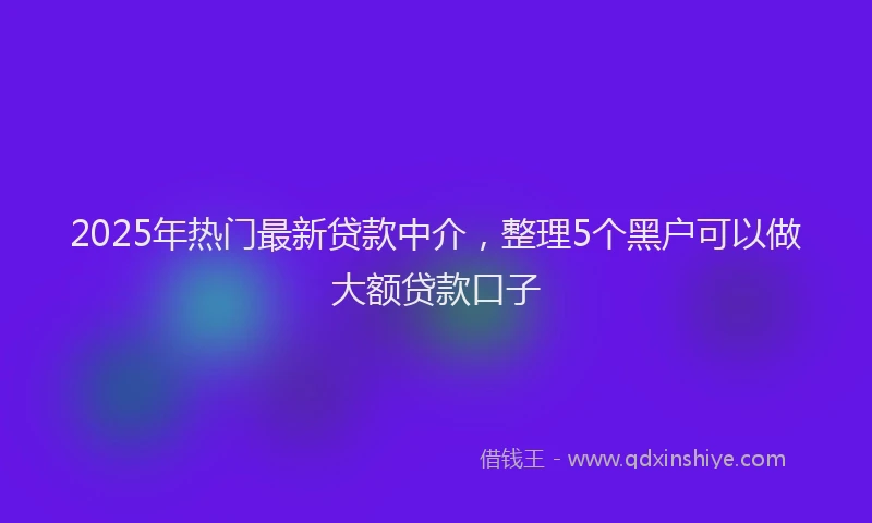 2025年热门最新贷款中介，整理5个黑户可以做大额贷款口子