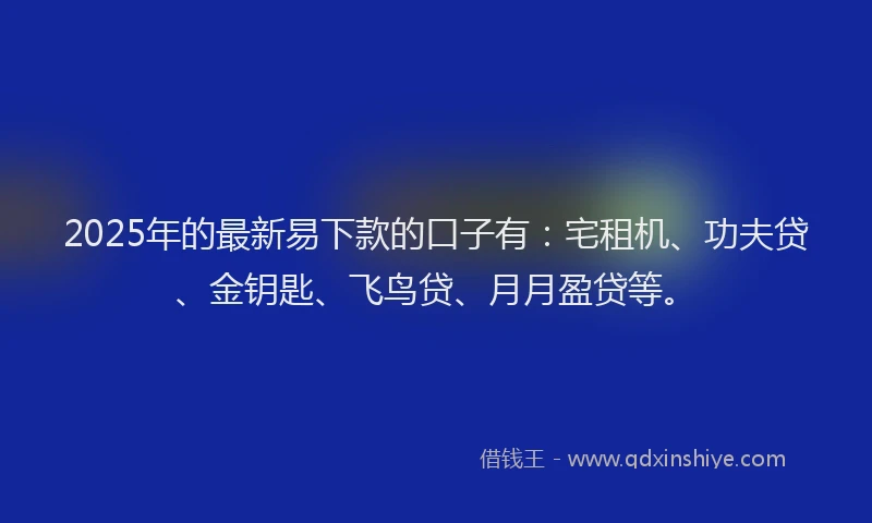 2025年的最新易下款的口子有：宅租机、功夫贷、金钥匙、飞鸟贷、月月盈贷等。