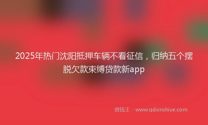 2025年热门沈阳抵押车辆不看征信，归纳五个摆脱欠款束缚贷款新app