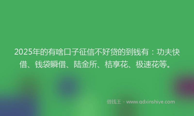 2025年的有啥口子征信不好贷的到钱有：功夫快借、钱袋瞬借、陆金所、桔享花、极速花等。