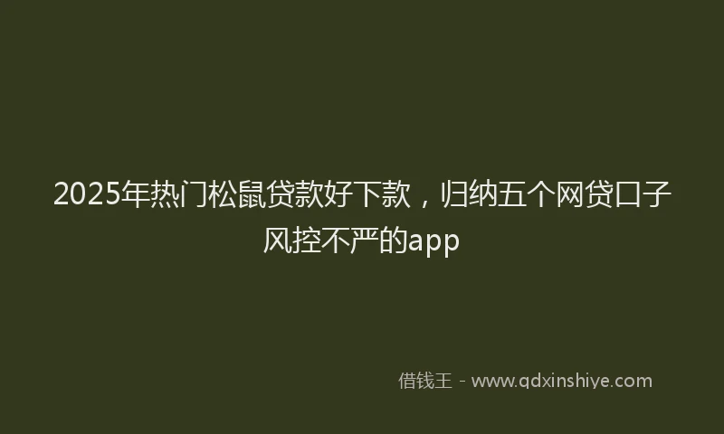 2025年热门松鼠贷款好下款，归纳五个网贷口子风控不严的app