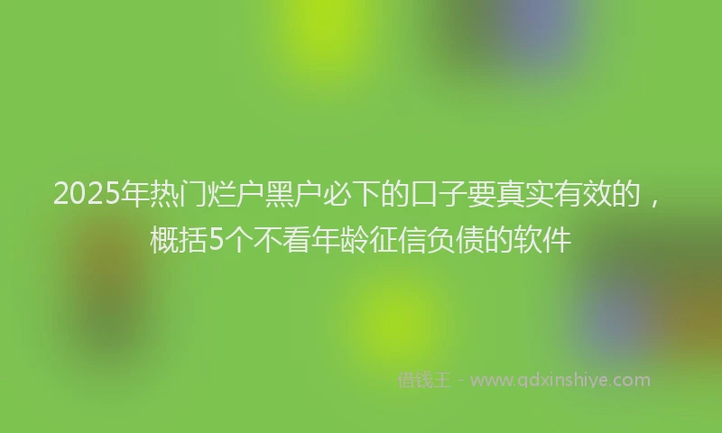 2025年热门烂户黑户必下的口子要真实有效的，概括5个不看年龄征信负债的软件