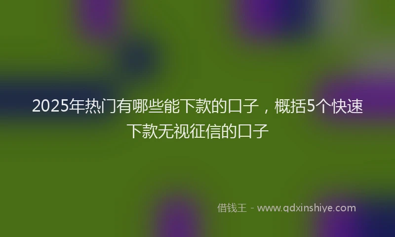 2025年热门有哪些能下款的口子,概括5个快速下款无视征信的口子