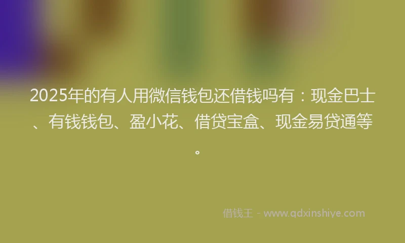2025年的有人用微信钱包还借钱吗有：现金巴士、有钱钱包、盈小花、借贷宝盒、现金易贷通等。