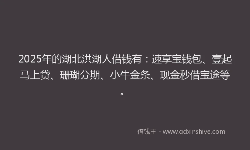 2025年的湖北洪湖人借钱有：速享宝钱包、壹起马上贷、珊瑚分期、小牛金条、现金秒借宝途等。