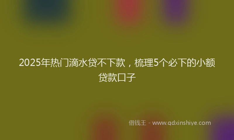 2025年热门滴水贷不下款，梳理5个必下的小额贷款口子