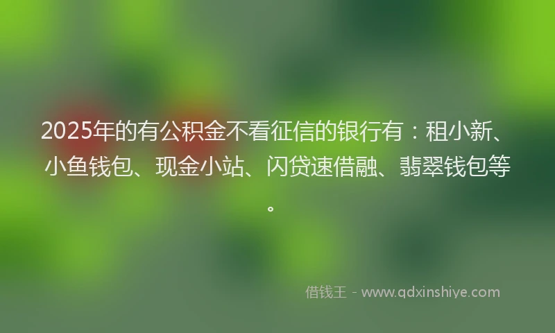 2025年的有公积金不看征信的银行有：租小新、小鱼钱包、现金小站、闪贷速借融、翡翠钱包等。