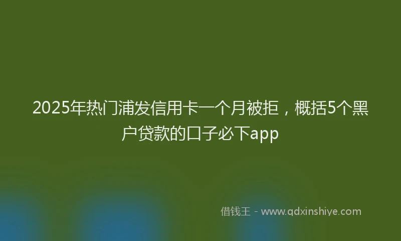 2025年热门浦发信用卡一个月被拒，概括5个黑户贷款的口子必下app