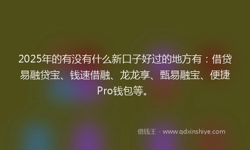 2025年的有没有什么新口子好过的地方有：借贷易融贷宝、钱速借融、龙龙享、甄易融宝、便捷Pro钱包等。