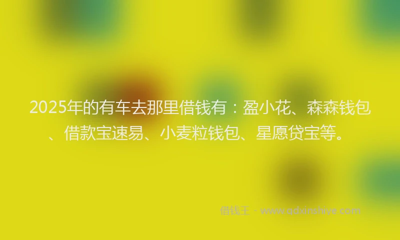 2025年的有车去那里借钱有:盈小花、森森钱包、借款宝速易、小麦粒钱包、星愿贷宝等。