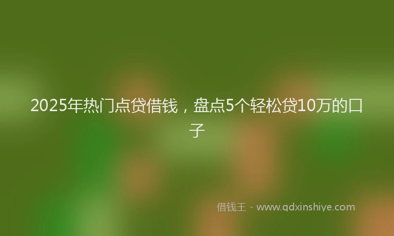 2025年热门点贷借钱，盘点5个轻松贷10万的口子
