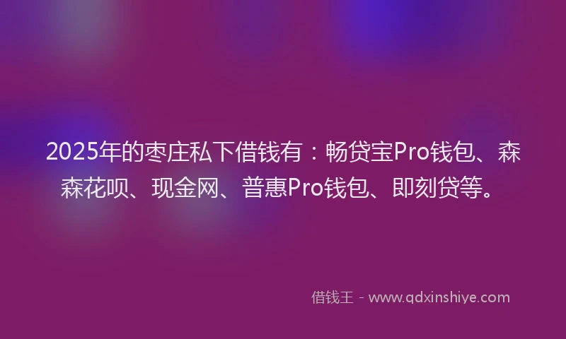 2025年的枣庄私下借钱有：畅贷宝Pro钱包、森森花呗、现金网、普惠Pro钱包、即刻贷等。