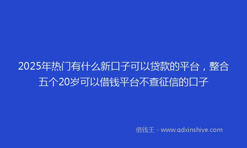 2025年热门有什么新口子可以贷款的平台，整合五个20岁可以借钱平台不查征信的口子