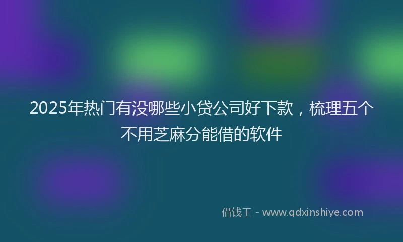 2025年热门有没哪些小贷公司好下款，梳理五个不用芝麻分能借的软件
