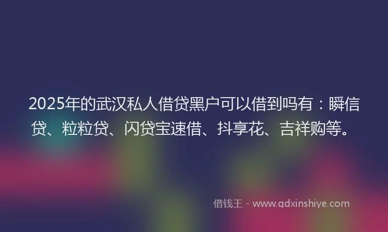 2025年的武汉私人借贷黑户可以借到吗有：瞬信贷、粒粒贷、闪贷宝速借、抖享花、吉祥购等。