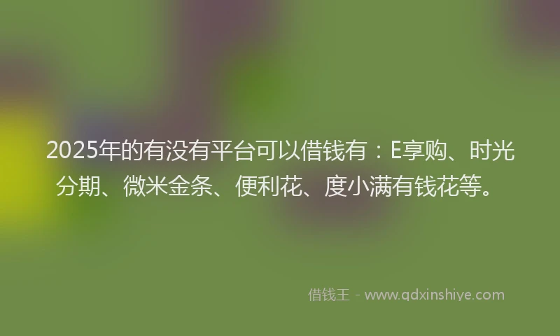 2025年的有没有平台可以借钱有:E享购、时光分期、微米金条、便利花、度小满有钱花等。