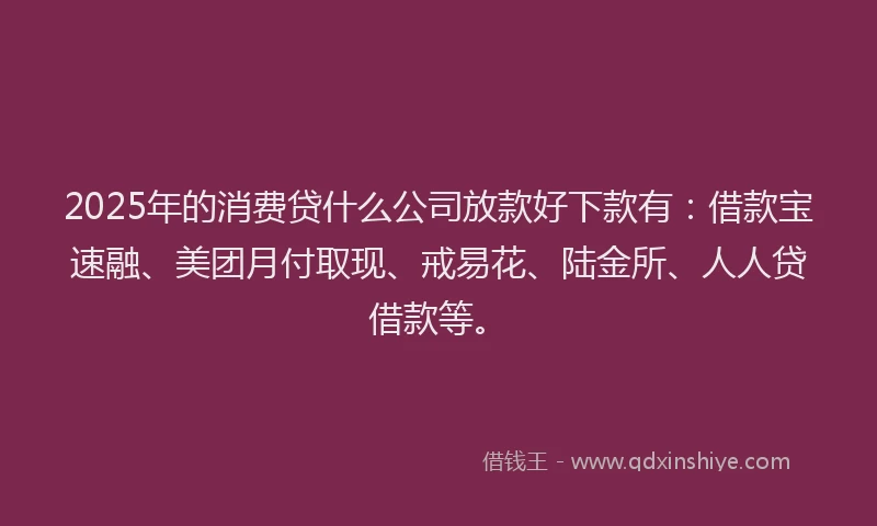 2025年的消费贷什么公司放款好下款有：借款宝速融、美团月付取现、戒易花、陆金所、人人贷借款等。