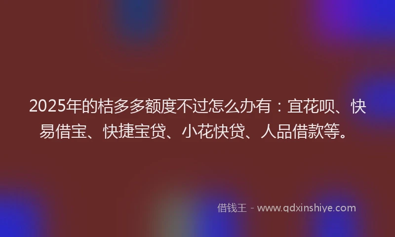 2025年的桔多多额度不过怎么办有：宜花呗、快易借宝、快捷宝贷、小花快贷、人品借款等。