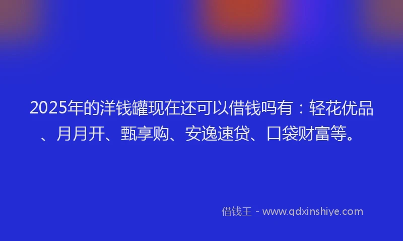 2025年的洋钱罐现在还可以借钱吗有：轻花优品、月月开、甄享购、安逸速贷、口袋财富等。