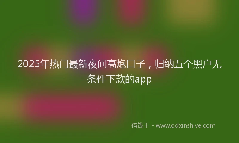 2025年热门最新夜间高炮口子，归纳五个黑户无条件下款的app