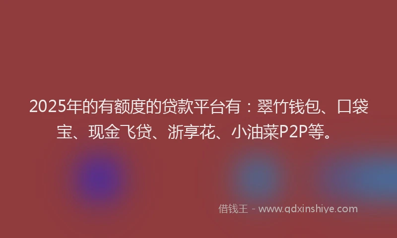 2025年的有额度的贷款平台有：翠竹钱包、口袋宝、现金飞贷、浙享花、小油菜P2P等。