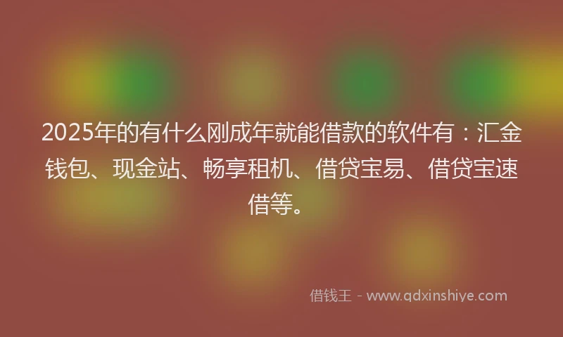 2025年的有什么刚成年就能借款的软件有:汇金钱包、现金站、畅享租机、借贷宝易、借贷宝速借等。