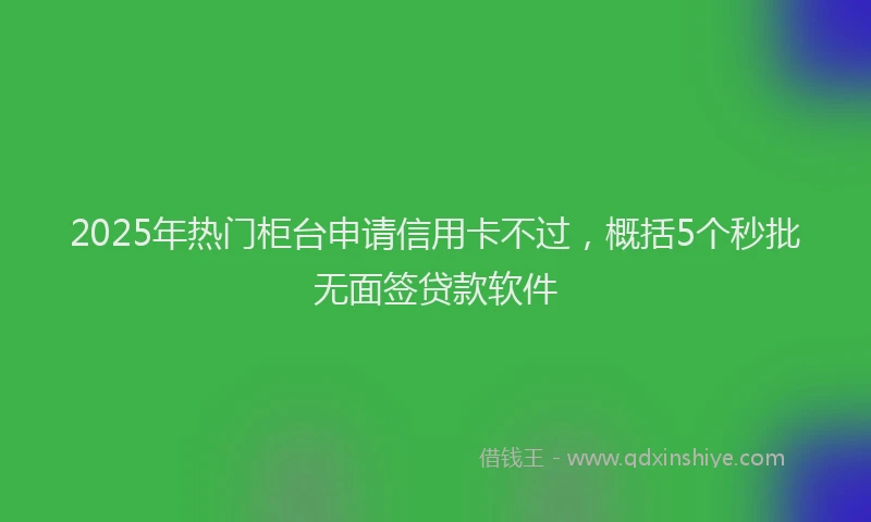 2025年热门柜台申请信用卡不过，概括5个秒批无面签贷款软件