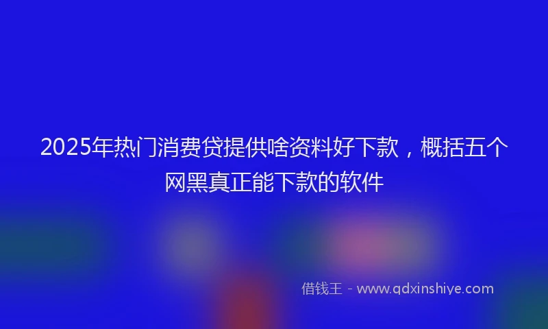 2025年热门消费贷提供啥资料好下款，概括五个网黑真正能下款的软件