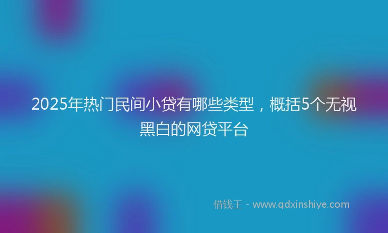 2025年热门民间小贷有哪些类型，概括5个无视黑白的网贷平台
