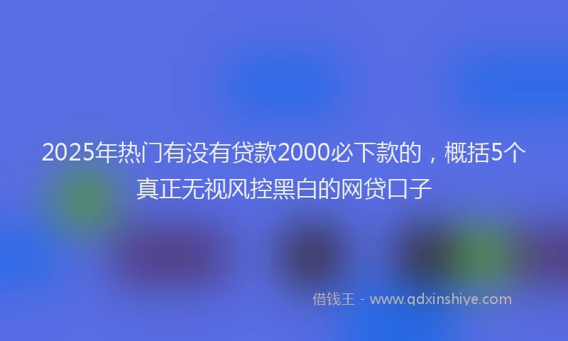2025年热门有没有贷款2000必下款的，概括5个真正无视风控黑白的网贷口子
