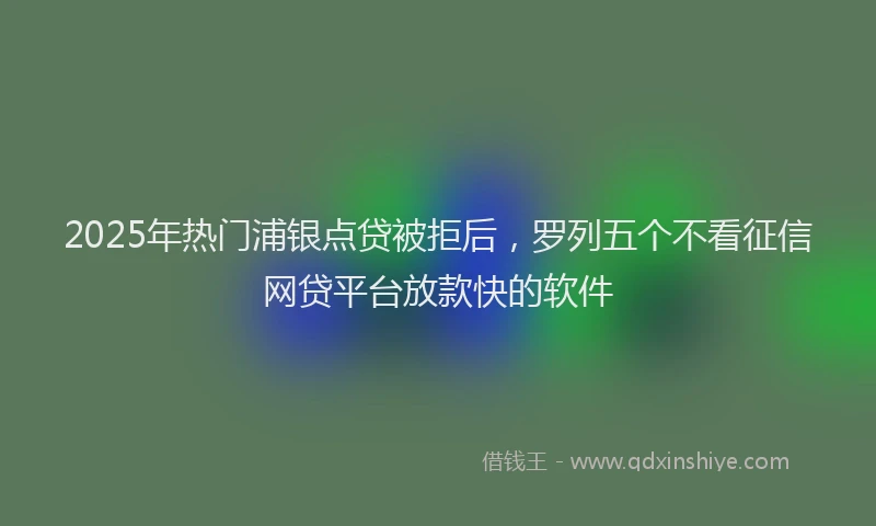 2025年热门浦银点贷被拒后,罗列五个不看征信网贷平台放款快的软件