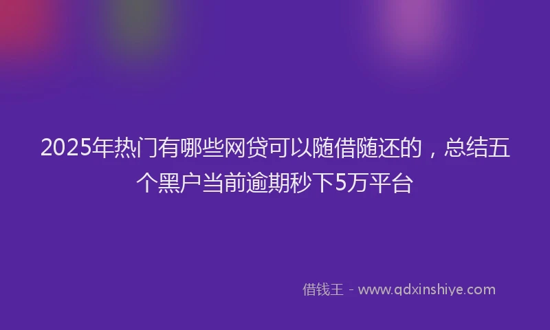 2025年热门有哪些网贷可以随借随还的，总结五个黑户当前逾期秒下5万平台