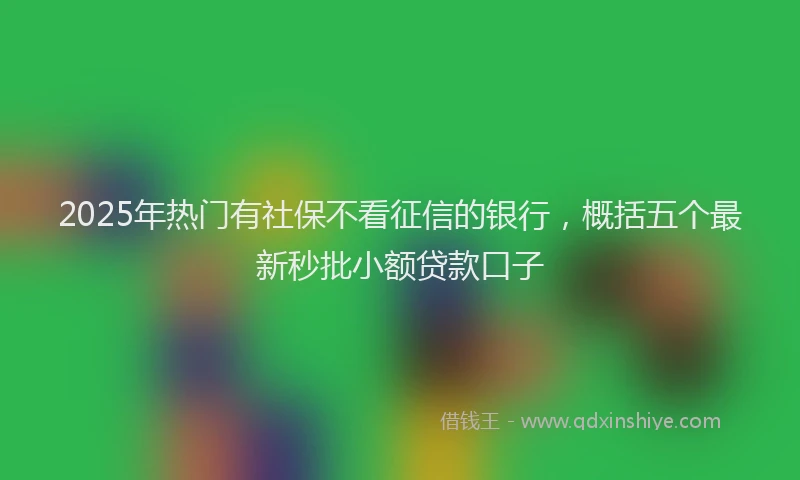 2025年热门有社保不看征信的银行,概括五个最新秒批小额贷款口子