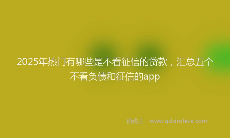 2025年热门有哪些是不看征信的贷款，汇总五个不看负债和征信的app