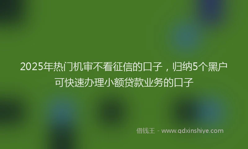 2025年热门机审不看征信的口子，归纳5个黑户可快速办理小额贷款业务的口子
