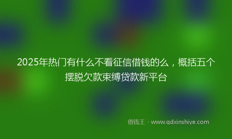 2025年热门有什么不看征信借钱的么，概括五个摆脱欠款束缚贷款新平台