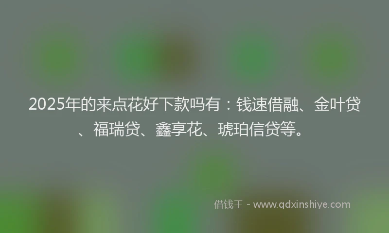 2025年的来点花好下款吗有：钱速借融、金叶贷、福瑞贷、鑫享花、琥珀信贷等。