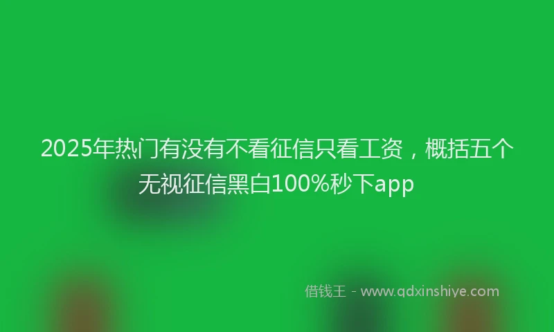 2025年热门有没有不看征信只看工资，概括五个无视征信黑白100%秒下app