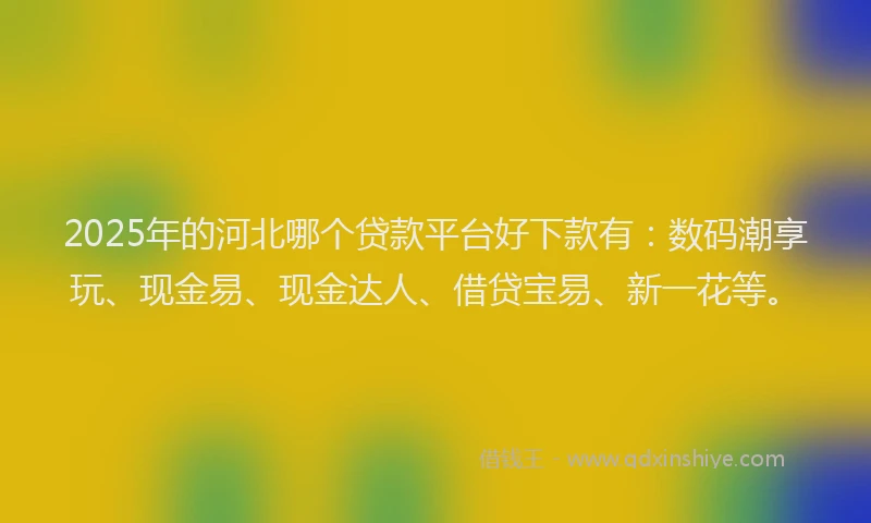 2025年的河北哪个贷款平台好下款有：数码潮享玩、现金易、现金达人、借贷宝易、新一花等。