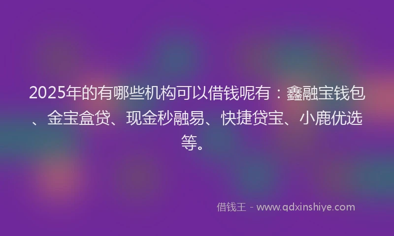 2025年的有哪些机构可以借钱呢有：鑫融宝钱包、金宝盒贷、现金秒融易、快捷贷宝、小鹿优选等。