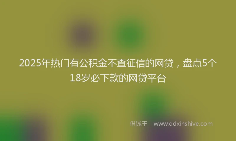 2025年热门有公积金不查征信的网贷，盘点5个18岁必下款的网贷平台