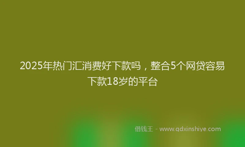 2025年热门汇消费好下款吗，整合5个网贷容易下款18岁的平台