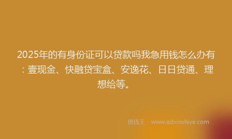 2025年的有身份证可以贷款吗我急用钱怎么办有：壹现金、快融贷宝盒、安逸花、日日贷通、理想给等。