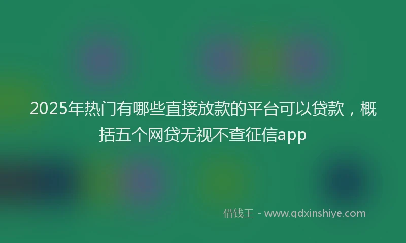 2025年热门有哪些直接放款的平台可以贷款，概括五个网贷无视不查征信app