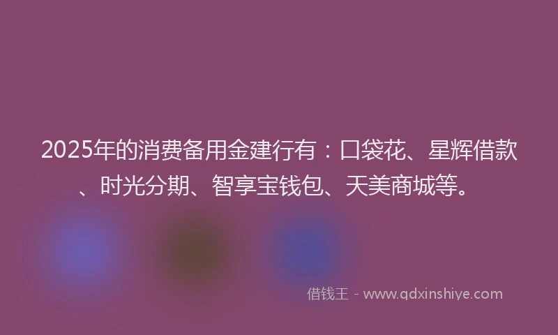 2025年的消费备用金建行有：口袋花、星辉借款、时光分期、智享宝钱包、天美商城等。